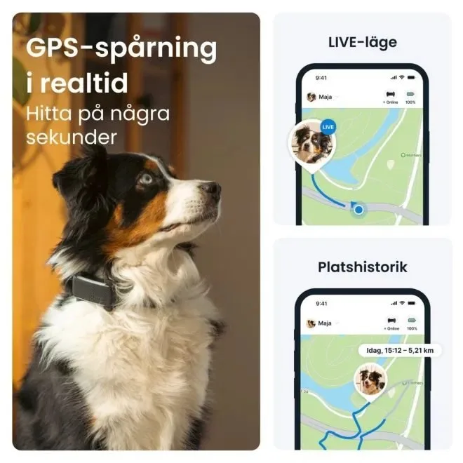 Tractive-appen: live-läge och platshistorik för hunden