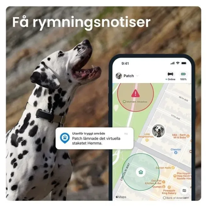 Tractive-appen: notis när hunden lämnar det virtuella staketet
